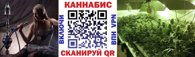 Бошки Шишки гибрид  Вилючинск 